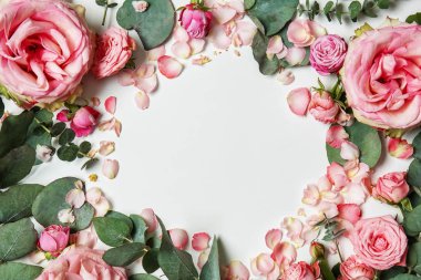 Pembe güller ve beyaz arka plan üzerinde okaliptüs güzel çerçeve yaptı