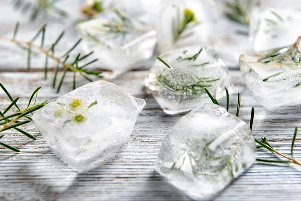 Plantas Congeladas Cubitos Hielo Sobre Fondo Madera Clara — Foto de Stock