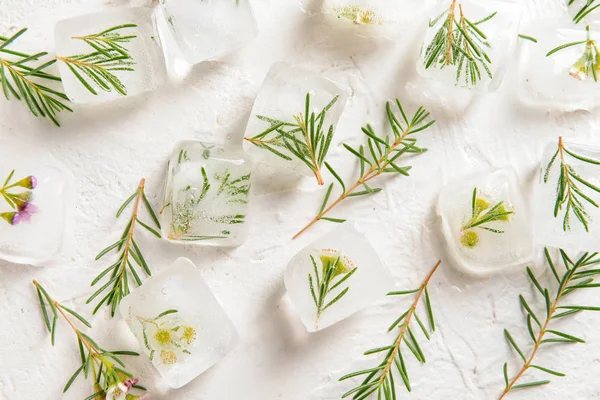 Plants Frozen Ice Cubes White Background — Stock Photo, Image