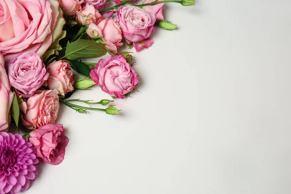 Hermosas Flores Rosadas Sobre Fondo Blanco — Foto de Stock