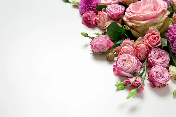 Hermosas Flores Rosadas Sobre Fondo Blanco — Foto de Stock