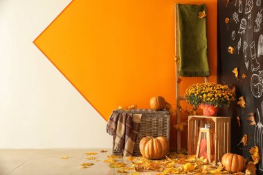 Kabaklar ve yaprakları renk duvarının yakınında güzel sonbahar kompozisyonu