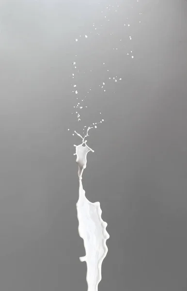灰色の背景に牛乳のスプラッシュ — ストック写真