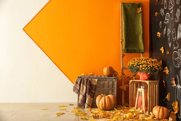 Beautiful Autumn Composition Pumpkins Leaves Color Wall — Stock Photo, Image