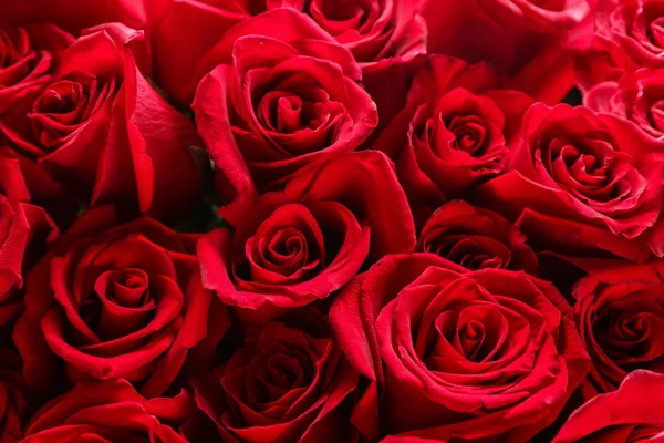 Bouquet Belles Roses Rouges Gros Plan — Photo