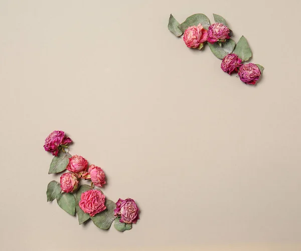 Beautiful Dry Roses Light Background — Stock Photo, Image