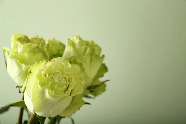 Krásná Kytice Zelených Růží Barvu Pozadí — Stock fotografie