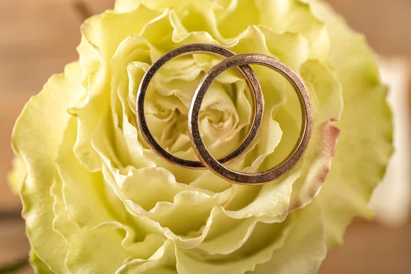 Beautiful Rose Golden Rings Closeup — Stock Photo, Image