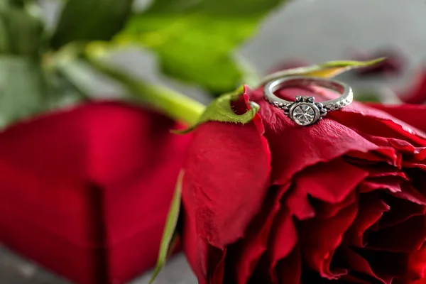 Hermoso Anillo Rosa Roja Primer Plano — Foto de Stock