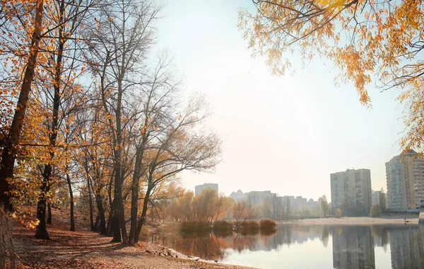 View Beautiful Autumn Park Pond City — Stock Photo, Image