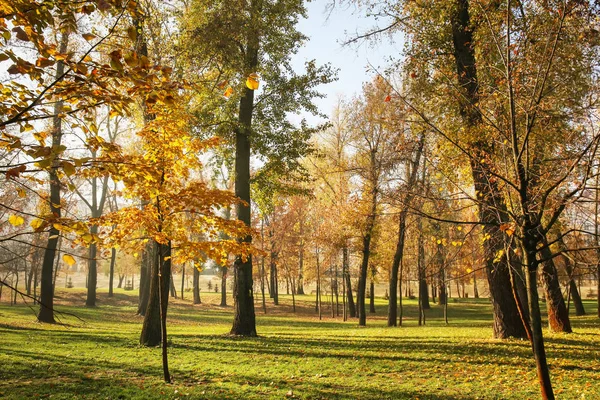 Sonbahar park görünümünü