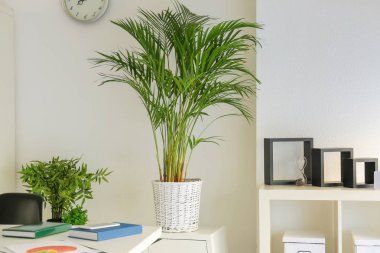 Interior of modern office with decorative Areca palm in pot clipart