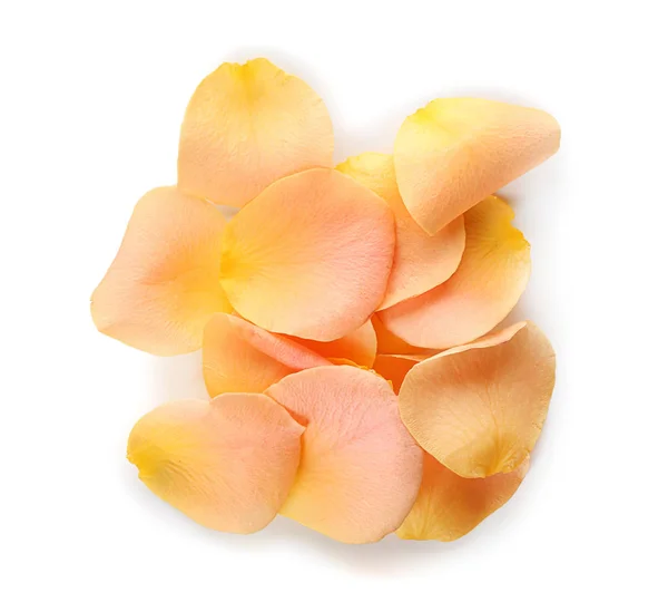 Beautiful Rose Petals White Background — Stock Photo, Image