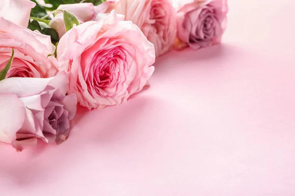 Beautiful Bouquet Roses Color Background — Stock Photo, Image