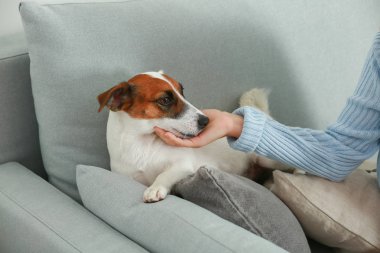 Ev sahibi ile şirin kriko Rusya korkunç