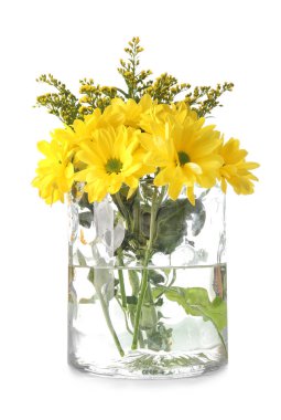 Beyaz arkaplanda cam vazodaki güzel çiçekler