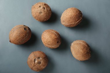 Gri arka plan üzerinde olgunlaşmış hindistancevizi