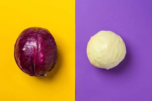 Green Purple Cabbages Color Background — Stock Photo, Image