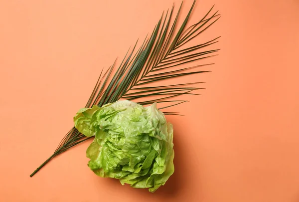 Fresh cabbage and palm leaf on color background, top view