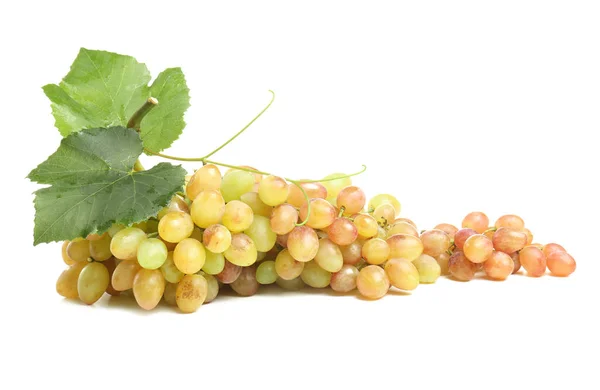 Ripe Sweet Grapes White Background — Stock Photo, Image