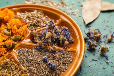 Renk tablosu üzerinde çeşitli Kuru çiçekler ile plaka