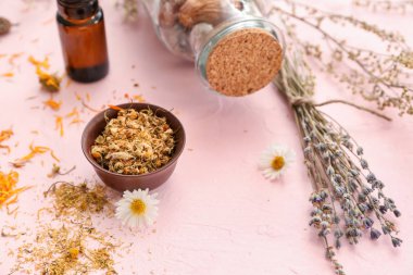 Renk tablosu üzerinde kurutulmuş papatya çiçeği ile kase