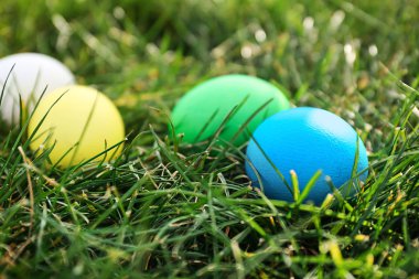 Açık havada yeşil çimenlerin üzerinde Paskalya yortusu yumurta