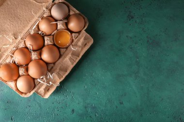 Kırık ve bütün tavuk yumurtası üzerinde renk tablosu karton kutuda