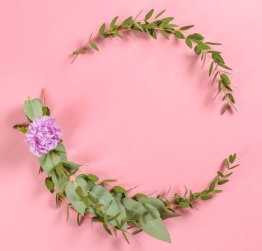 Yeşil okaliptüs şube ve çiçek renk arka plan üzerinde çerçeve yaptı