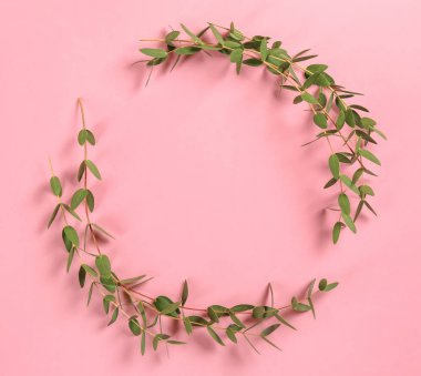 Yeşil okaliptüs şube renk arka plan üzerinde çerçeve yaptı