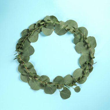 Yeşil okaliptüs şube renk arka plan üzerinde çerçeve yaptı