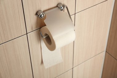 Banyoda tuvalet kağıdı rulosu ile sahibi