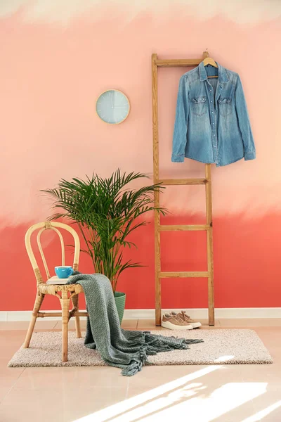 Interior Room Wooden Chair Tropical Plant Pink Wall — Stock Photo, Image