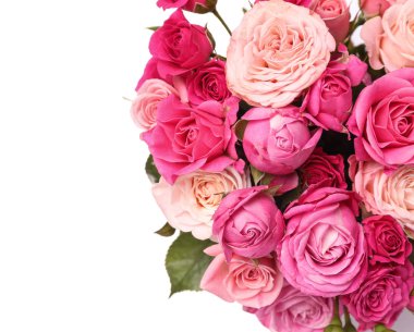 Beyaz arka planda pembe güller.