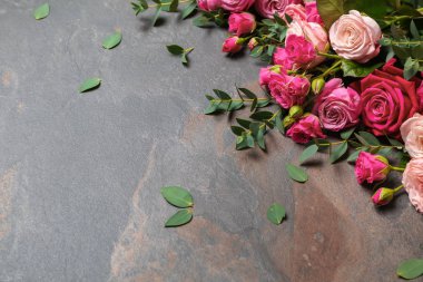 Gri arkaplanda güzel güller