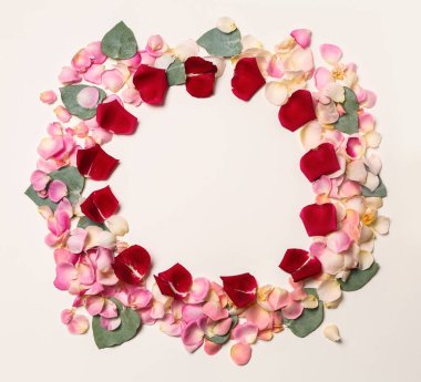 Çerçeve güzel gül yaprakları yaptı ve beyaz arka plan üzerinde Okaliptüs yaprakları