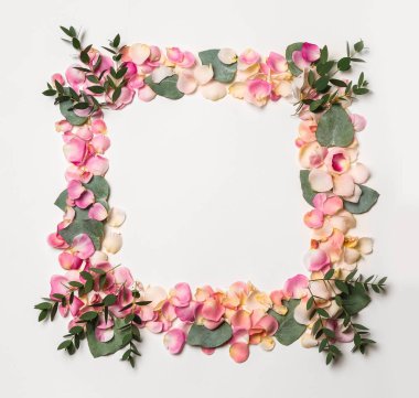 Çerçeve güzel gül yaprakları yaptı ve beyaz arka plan üzerinde Okaliptüs yaprakları