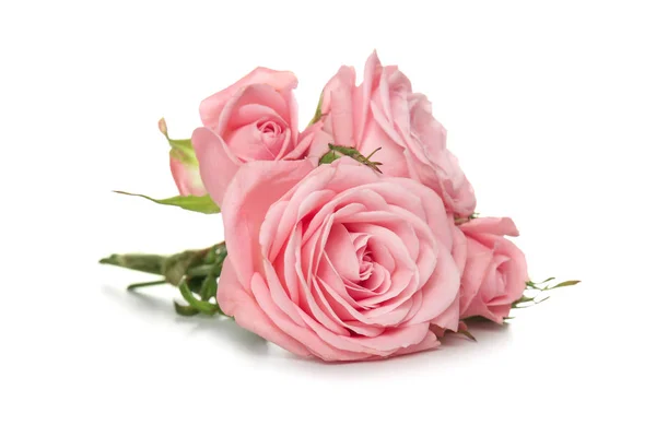 Beautiful Bouquet Roses White Background — Stock Photo, Image