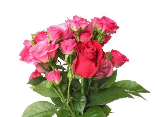 Όμορφο Μπουκέτο Ροζ Τριαντάφυλλα Λευκό Φόντο — Φωτογραφία Αρχείου