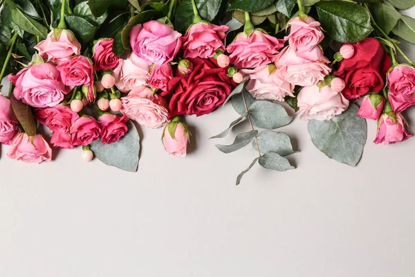 Muchas Rosas Hermosas Sobre Fondo Blanco — Foto de Stock