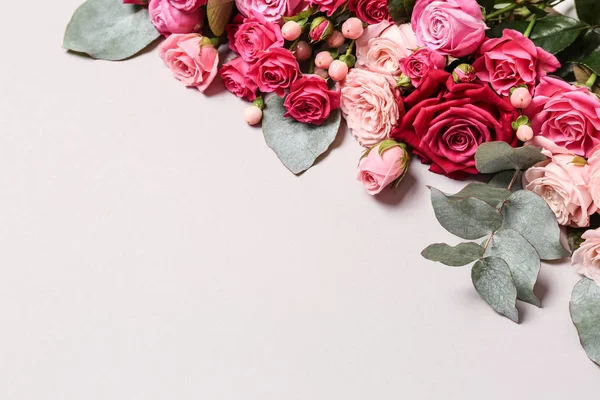 Muchas Rosas Hermosas Sobre Fondo Blanco — Foto de Stock