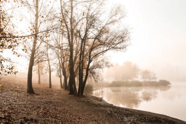 Sisli sonbahar sabahı gölette görünümünü