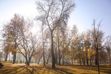 Sonbahar park görünümünü