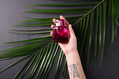 Şişe parfüm ve tropikal yaprak gri arka plan üzerinde el
