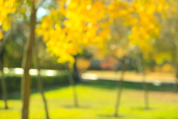 Blurred View Autumn Park — Stock Photo, Image