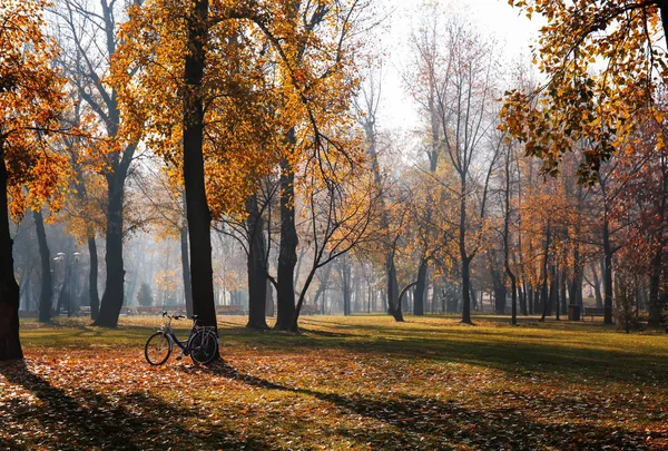 Vista Parque Outono — Fotografia de Stock