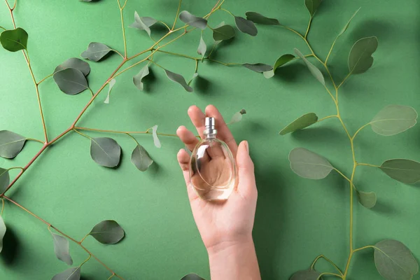 Female Hand Bottle Perfume Eucalyptus Branches Color Background — Stock Photo, Image