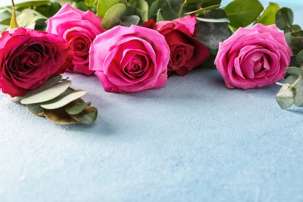 Beautiful Roses Color Background — Stock Photo, Image