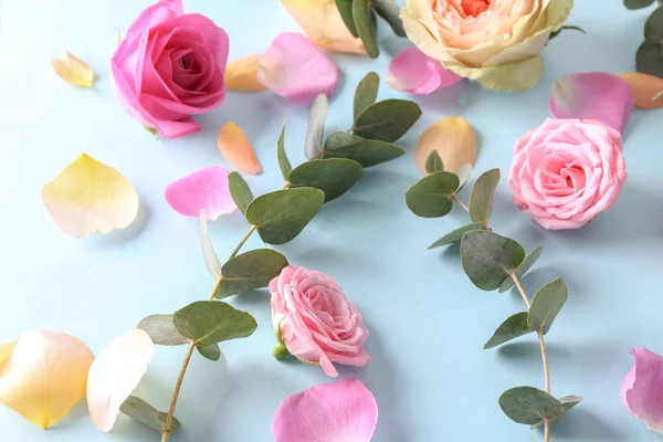 Gyönyörű Rózsák Színes Háttér — Stock Fotó