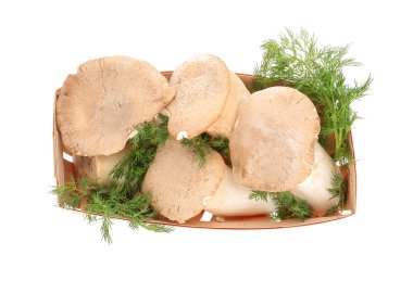 Taze mantar beyaz arka plan ile sepet